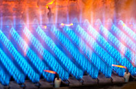Rhandir gas fired boilers